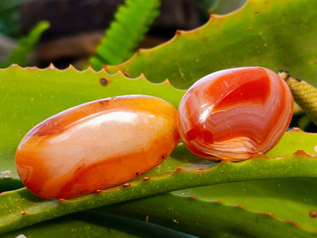Polished Carnelian Palm Stones x 35 From Madagascar - Toprock Gemstones and Minerals 