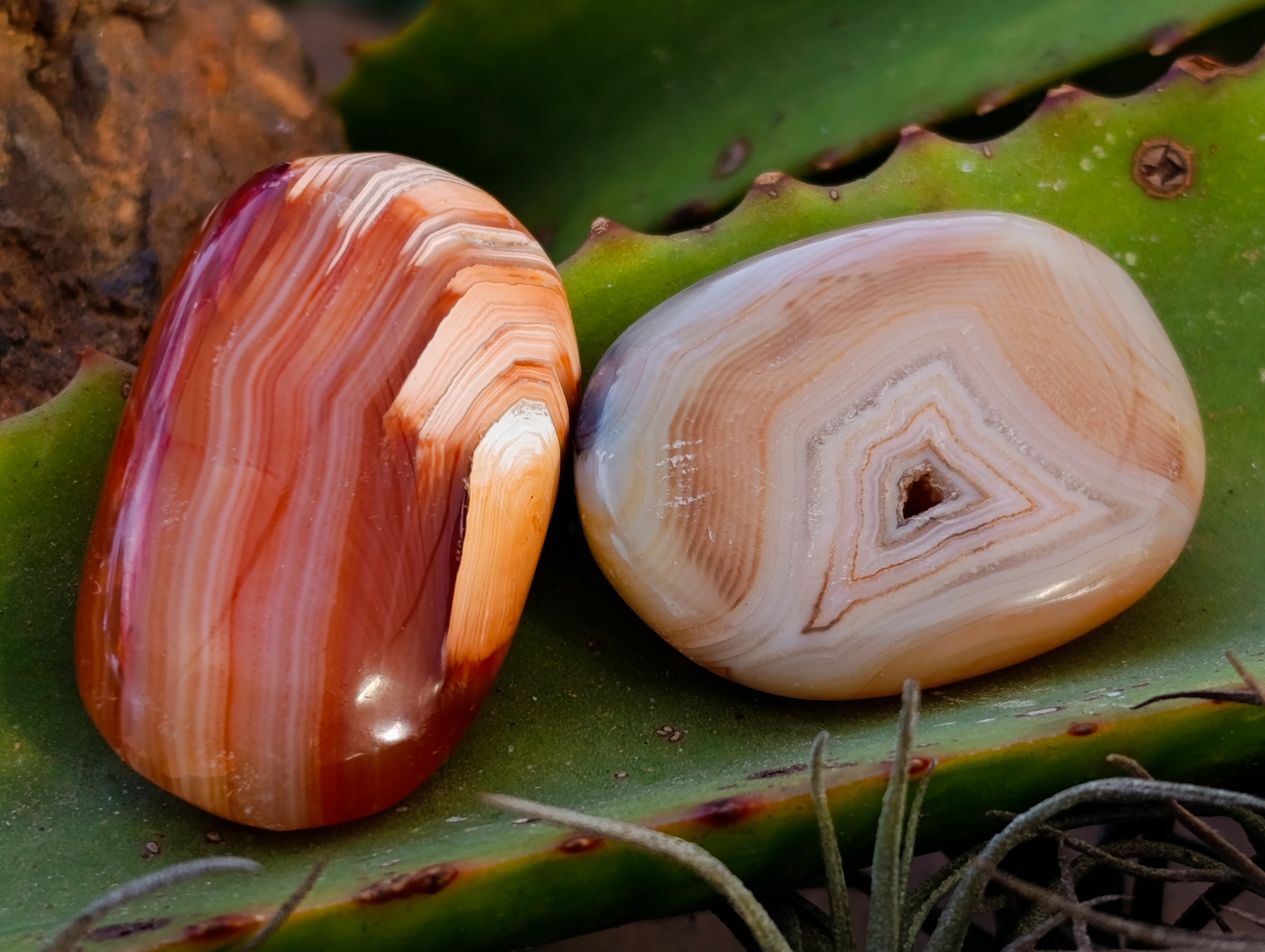 Polished Carnelian Palm Stones x 35 From Madagascar - Toprock Gemstones and Minerals 