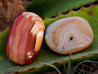 Polished Carnelian Palm Stones x 35 From Madagascar - Toprock Gemstones and Minerals 