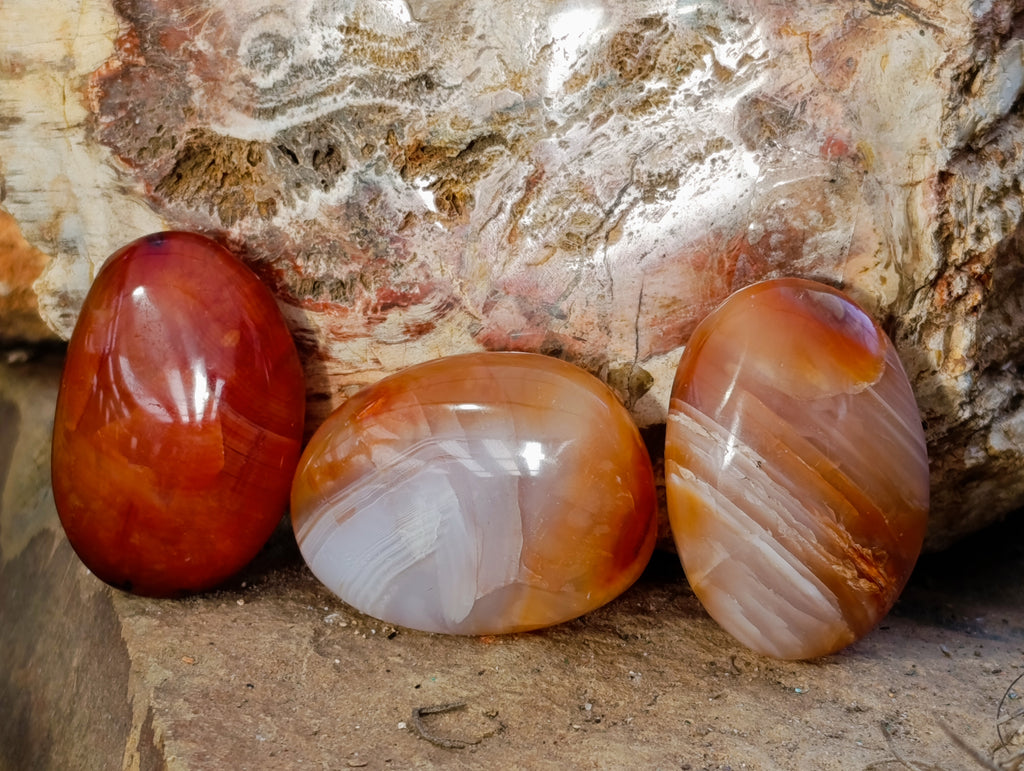 Polished Carnelian Palm Stones x 35 From Madagascar - Toprock Gemstones and Minerals 