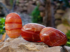 Polished Carnelian Palm Stones x 35 From Madagascar - Toprock Gemstones and Minerals 