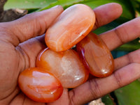 Polished Carnelian Palm Stones x 35 From Madagascar - Toprock Gemstones and Minerals 
