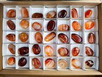 Polished Carnelian Palm Stones x 35 From Madagascar - Toprock Gemstones and Minerals 