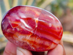 Polished Carnelian Palm Stones x 35 From Madagascar - Toprock Gemstones and Minerals 
