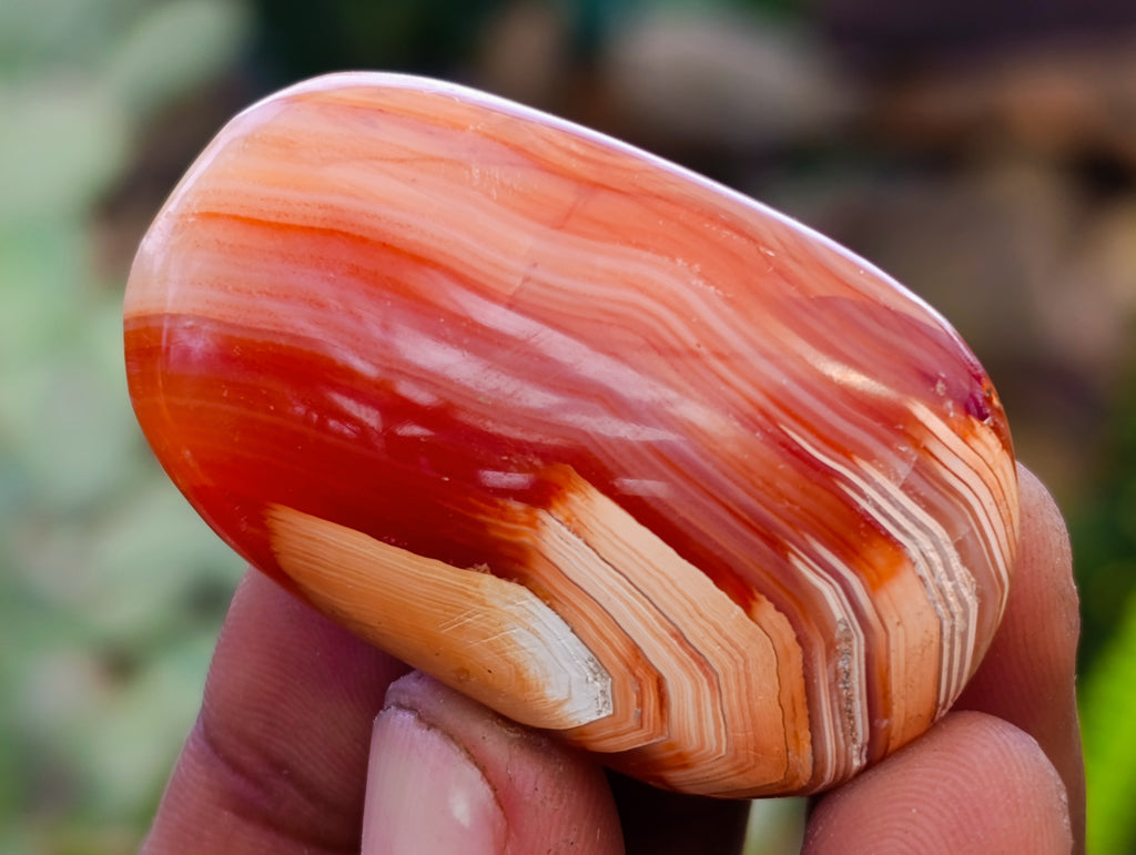 Polished Carnelian Palm Stones x 35 From Madagascar - Toprock Gemstones and Minerals 