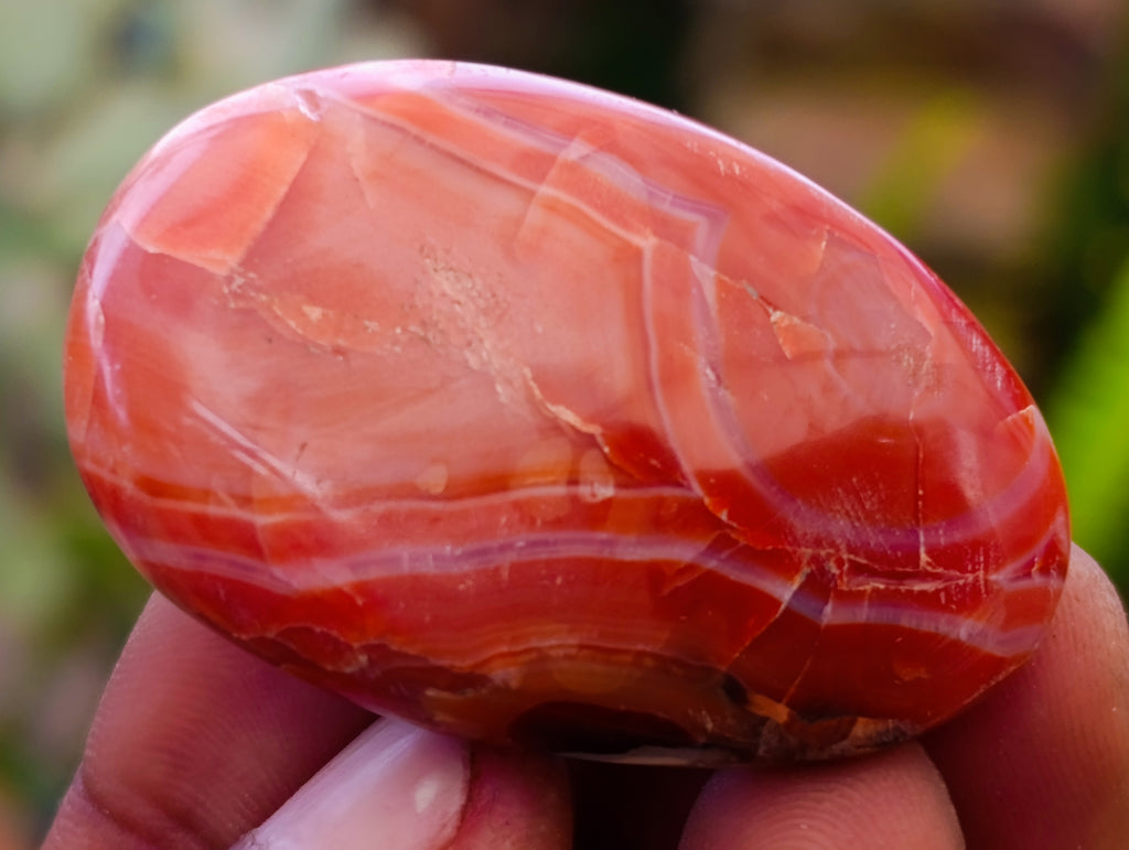 Polished Carnelian Palm Stones x 35 From Madagascar - Toprock Gemstones and Minerals 