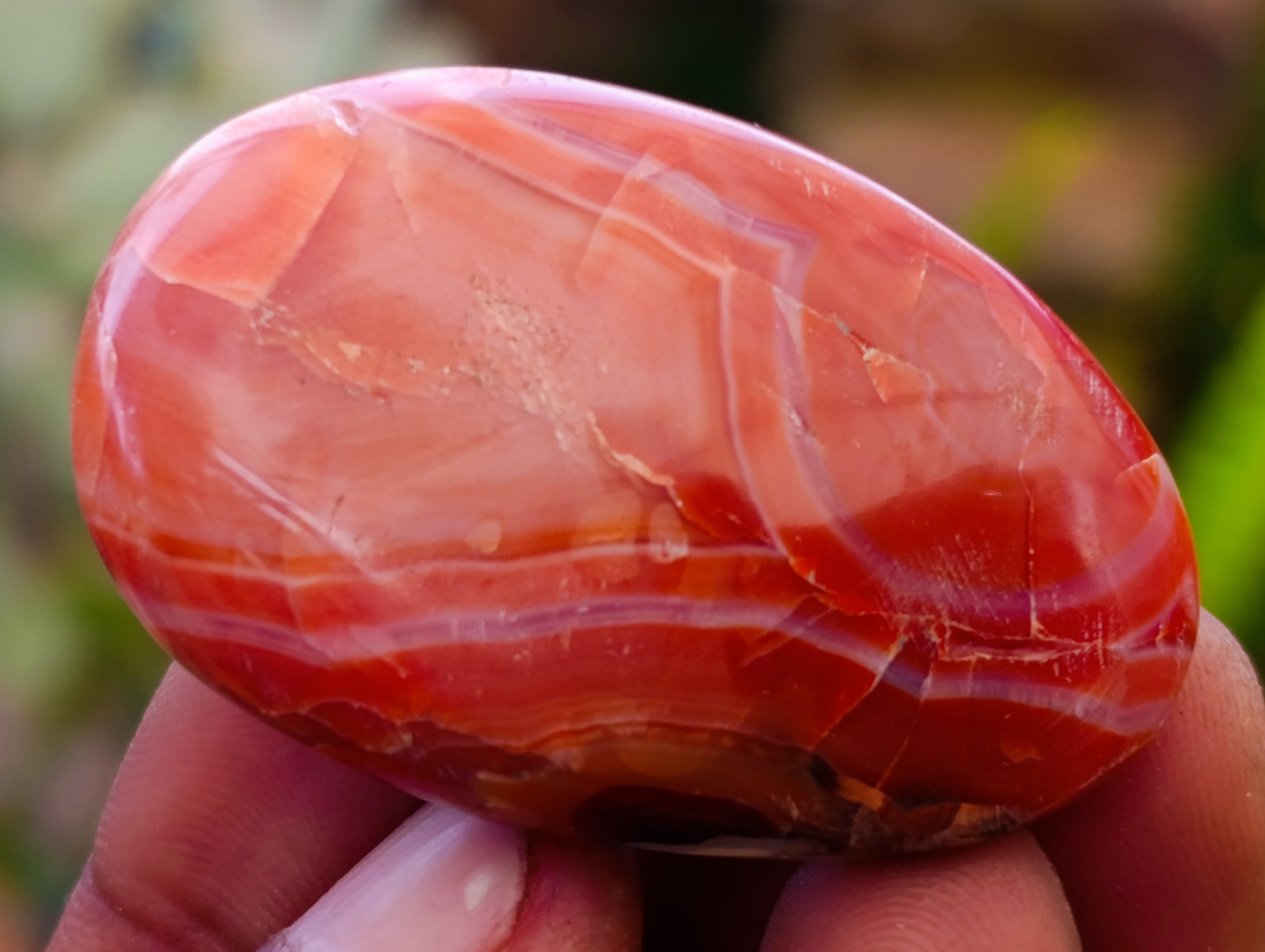 Polished Carnelian Palm Stones x 35 From Madagascar - Toprock Gemstones and Minerals 