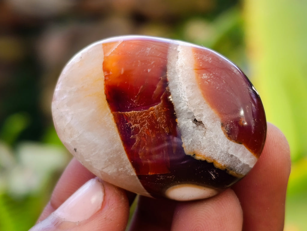 Polished Carnelian Palm Stones x 35 From Madagascar - Toprock Gemstones and Minerals 