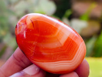 Polished Carnelian Palm Stones x 35 From Madagascar - Toprock Gemstones and Minerals 