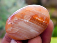 Polished Carnelian Palm Stones x 35 From Madagascar - Toprock Gemstones and Minerals 