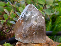Polished Mix of Selected Crystal Points x 2 From Madagascar - Toprock Gemstones and Minerals 