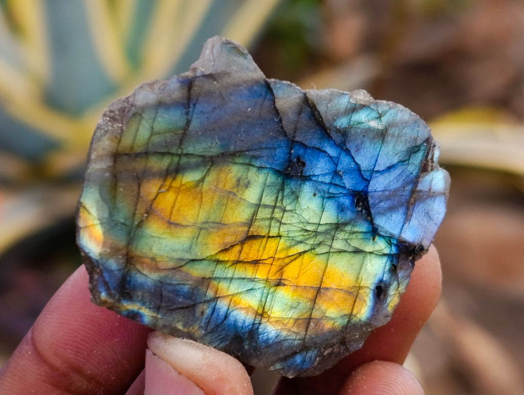 Polished On One Side Labradorite Plates x 35 From Madagascar - Toprock Gemstones and Minerals 