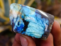 Polished On One Side Labradorite Plates x 35 From Tulear, Madagascar - Toprock Gemstones and Minerals 