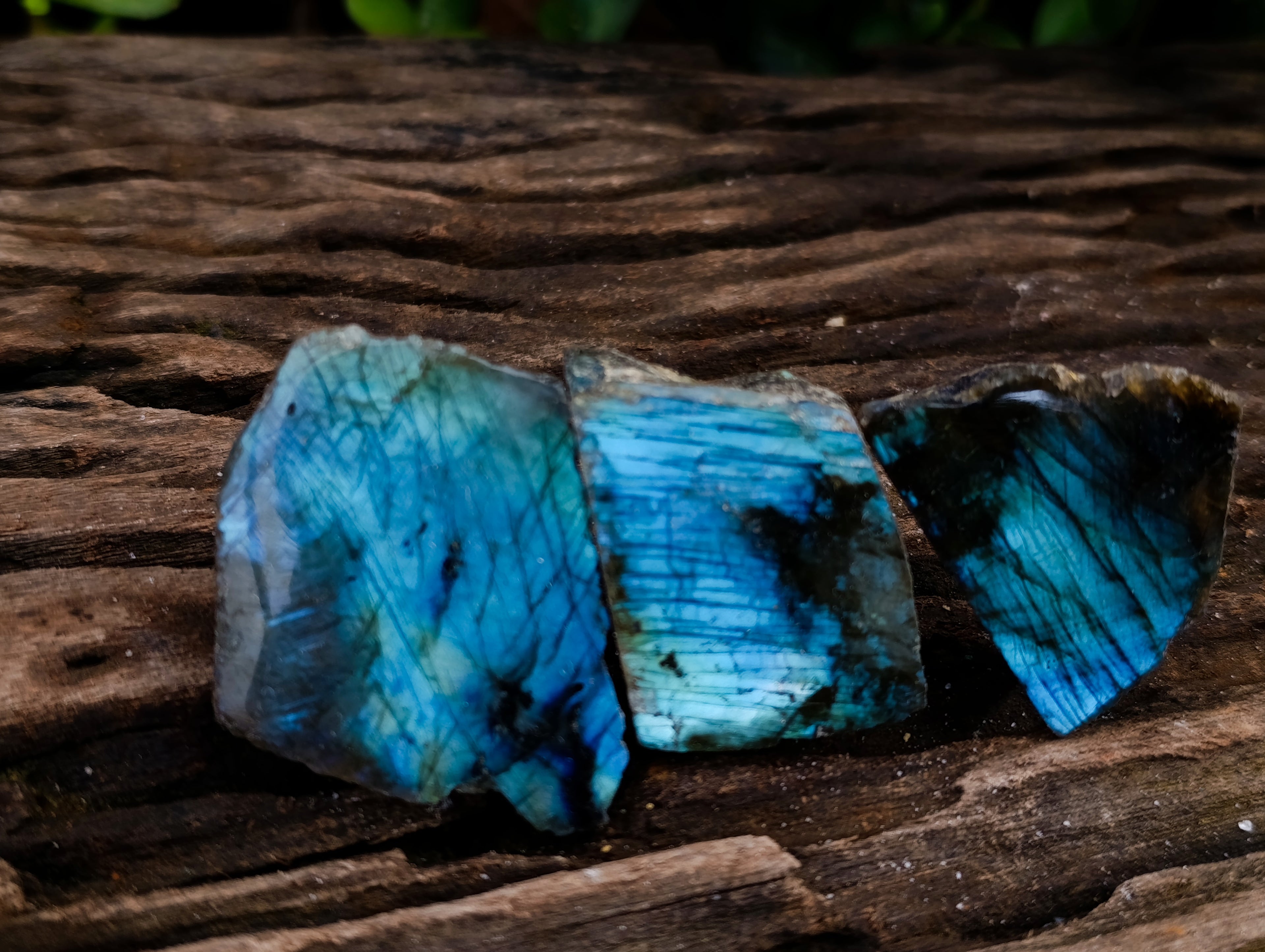 Polished On One Side Labradorite Plates x 35 From Madagascar - Toprock Gemstones and Minerals 