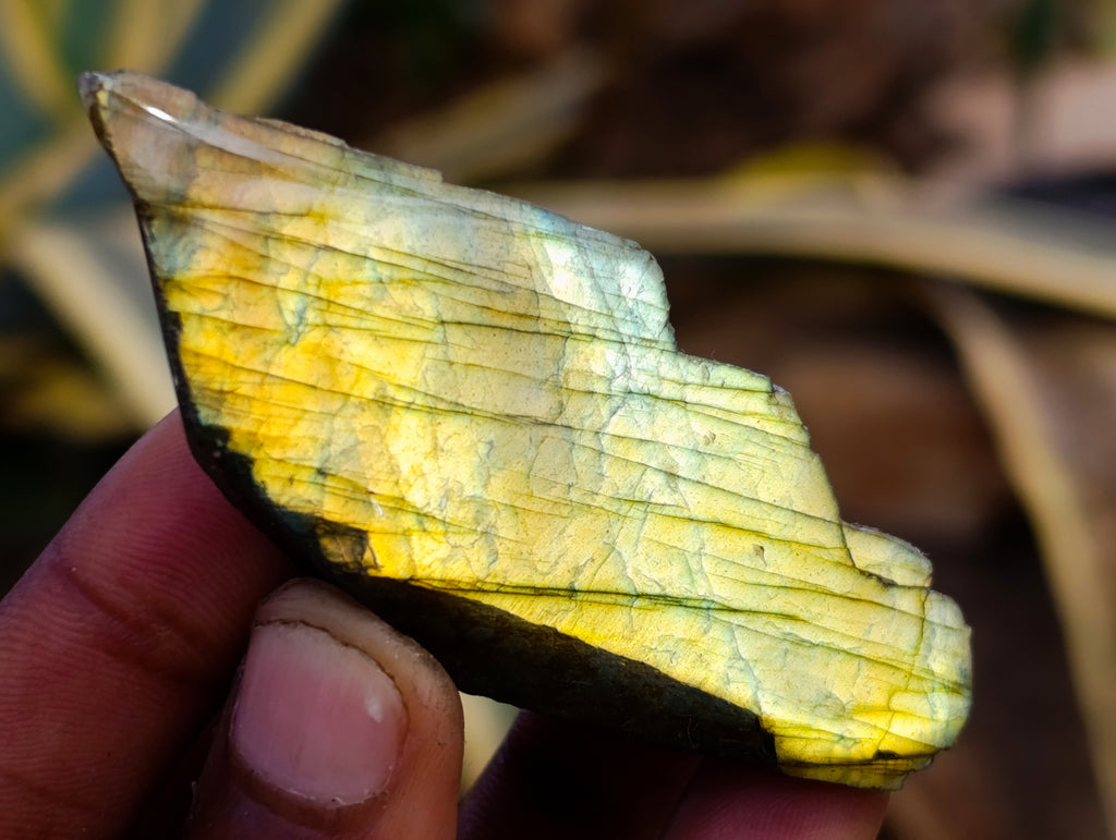 Polished On One Side Labradorite Plates x 35 From Madagascar - Toprock Gemstones and Minerals 