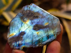 Polished On One Side Labradorite Plates x 35 From Madagascar - Toprock Gemstones and Minerals 