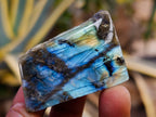 Polished On One Side Labradorite Plates x 35 From Madagascar - Toprock Gemstones and Minerals 