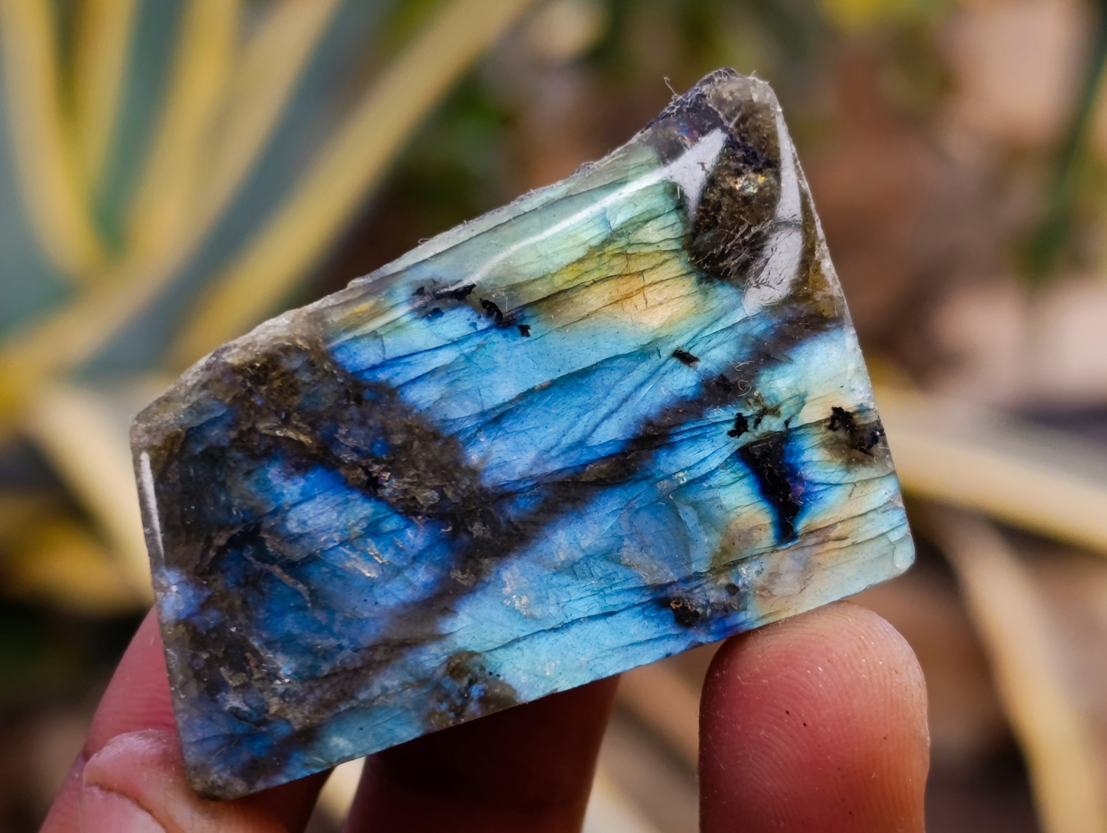 Polished On One Side Labradorite Plates x 35 From Madagascar - Toprock Gemstones and Minerals 