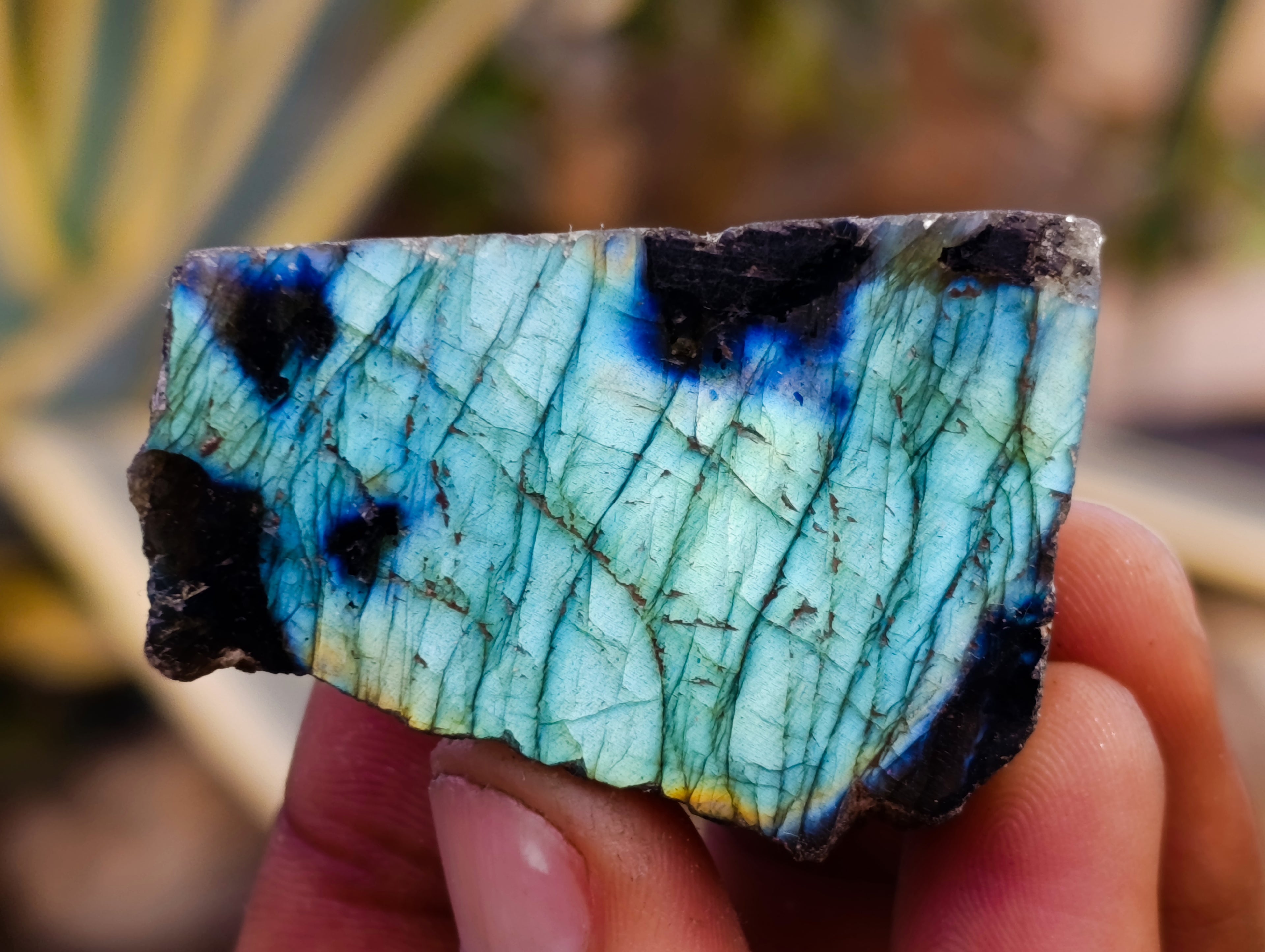 Polished On One Side Labradorite Plates x 35 From Madagascar - Toprock Gemstones and Minerals 