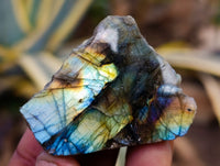 Polished On One Side Labradorite Plates x 35 From Tulear, Madagascar - Toprock Gemstones and Minerals 