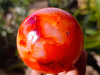 Polished Carnelian Agate Spheres x 3 From Madagascar - Toprock Gemstones and Minerals 