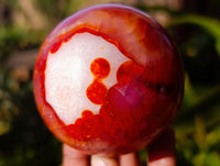 Polished Carnelian Agate Spheres x 3 From Madagascar - Toprock Gemstones and Minerals 
