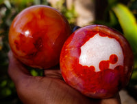 Polished Carnelian Agate Spheres x 3 From Madagascar - Toprock Gemstones and Minerals 