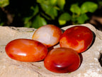 Polished Small Carnelian Agate "Jewellery" Palm Stones x 35 From Madagascar - Toprock Gemstones and Minerals 