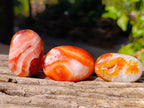 Polished Small Carnelian Agate "Jewellery" Palm Stones x 35 From Madagascar - Toprock Gemstones and Minerals 