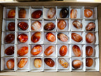 Polished Small Carnelian Agate "Jewellery" Palm Stones x 35 From Madagascar - Toprock Gemstones and Minerals 