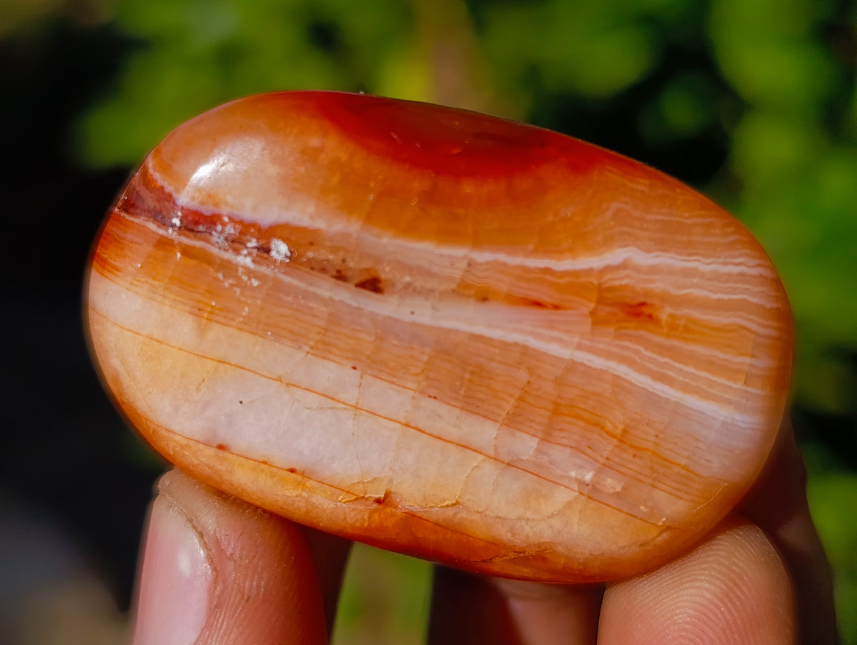 Polished Small Carnelian Agate "Jewellery" Palm Stones x 35 From Madagascar - Toprock Gemstones and Minerals 