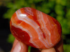 Polished Small Carnelian Agate "Jewellery" Palm Stones x 35 From Madagascar - Toprock Gemstones and Minerals 