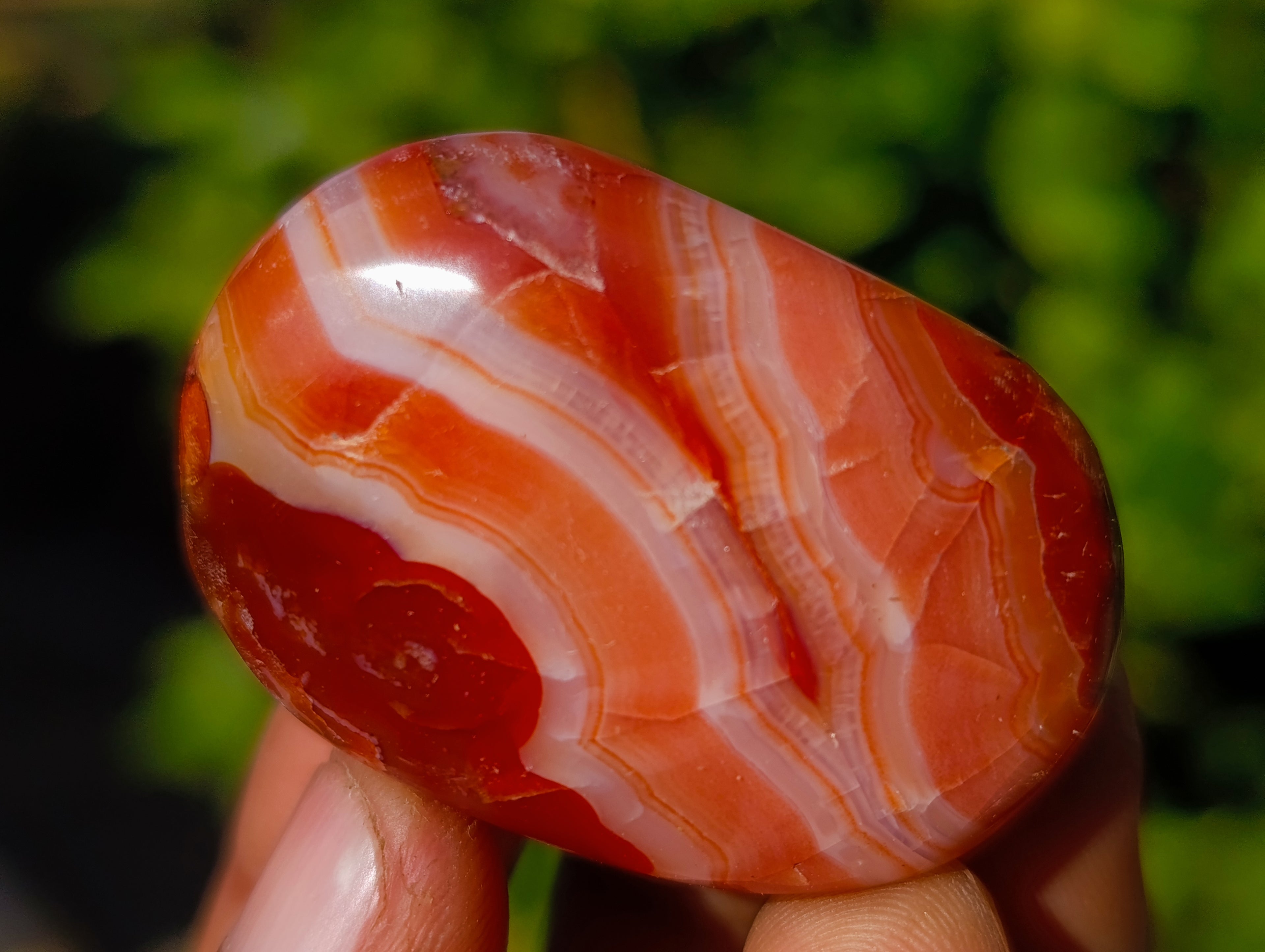 Polished Small Carnelian Agate "Jewellery" Palm Stones x 35 From Madagascar - Toprock Gemstones and Minerals 
