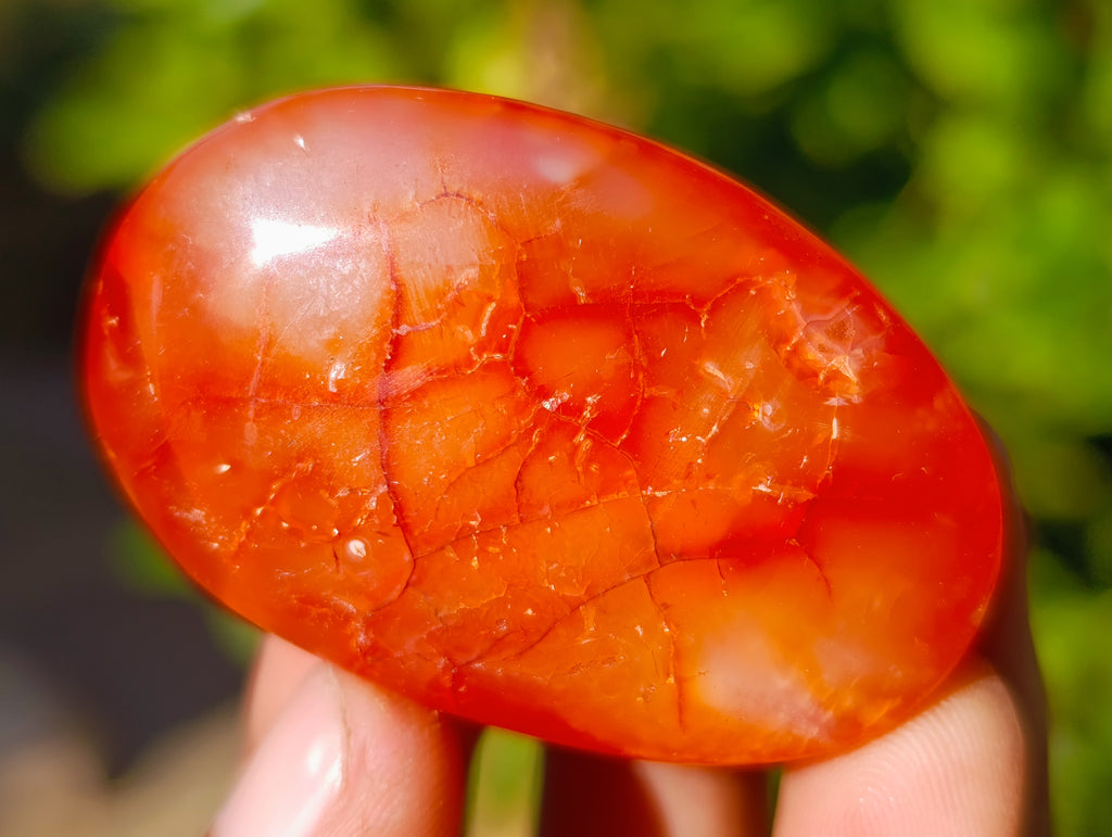 Polished Small Carnelian Agate "Jewellery" Palm Stones x 35 From Madagascar - Toprock Gemstones and Minerals 