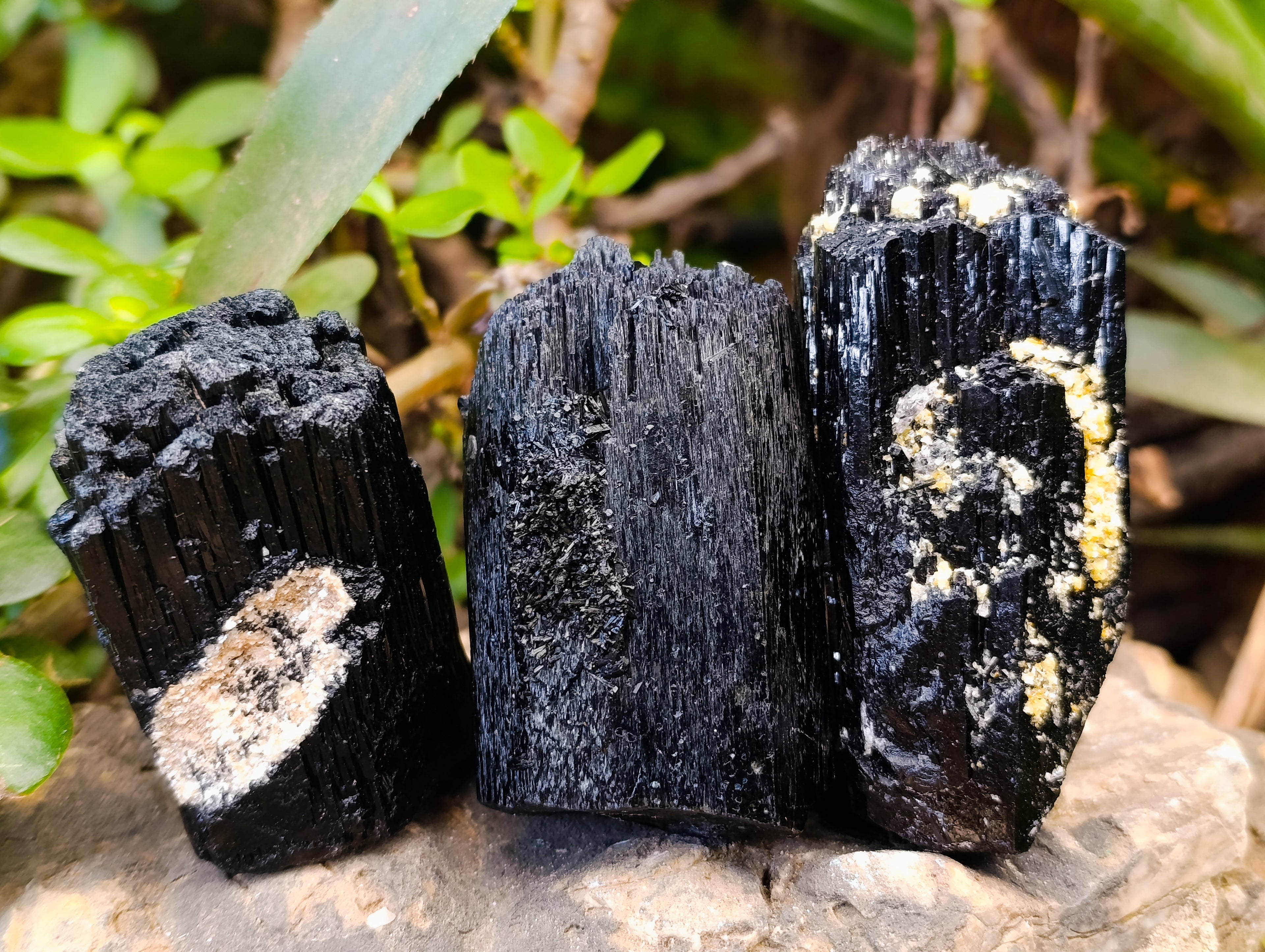 Natural Schorl Black Tourmaline with Fibrous and Needle Formations x 6 From Erongo, Namibia - Toprock Gemstones and Minerals 