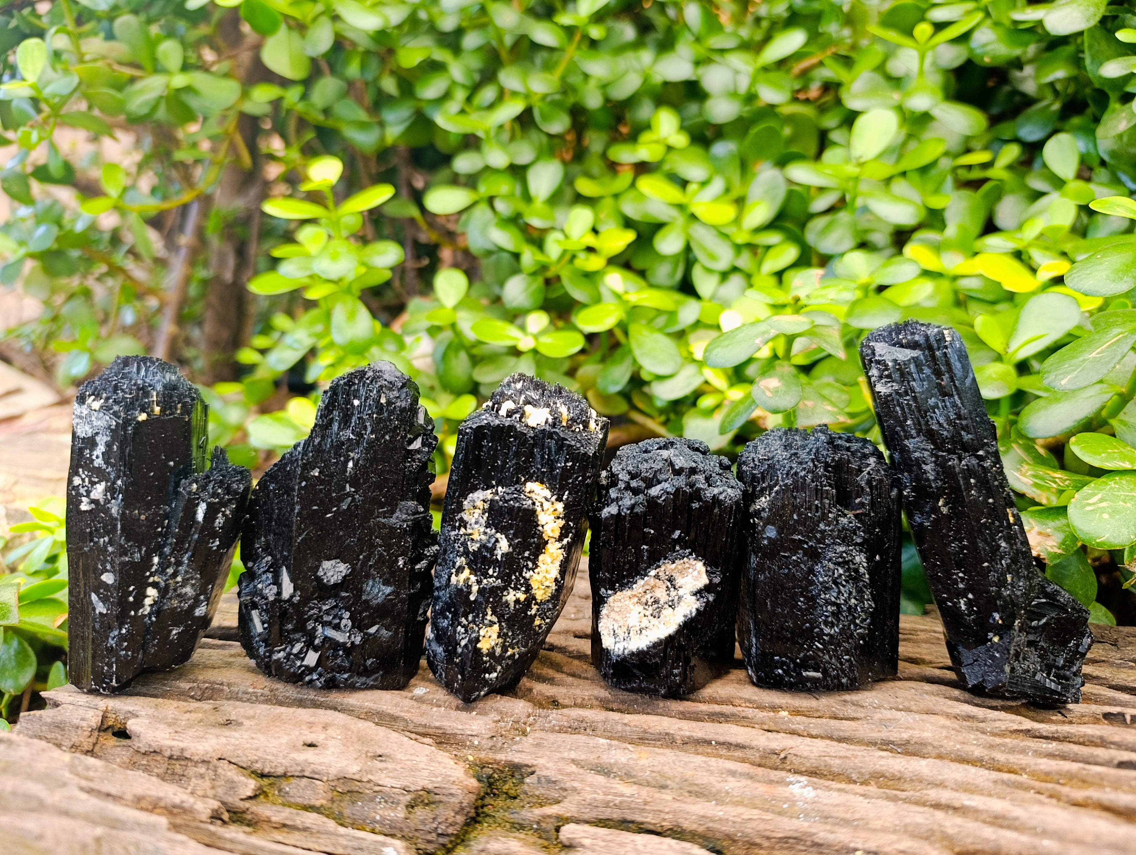 Natural Schorl Black Tourmaline with Fibrous and Needle Formations x 6 From Erongo, Namibia - Toprock Gemstones and Minerals 