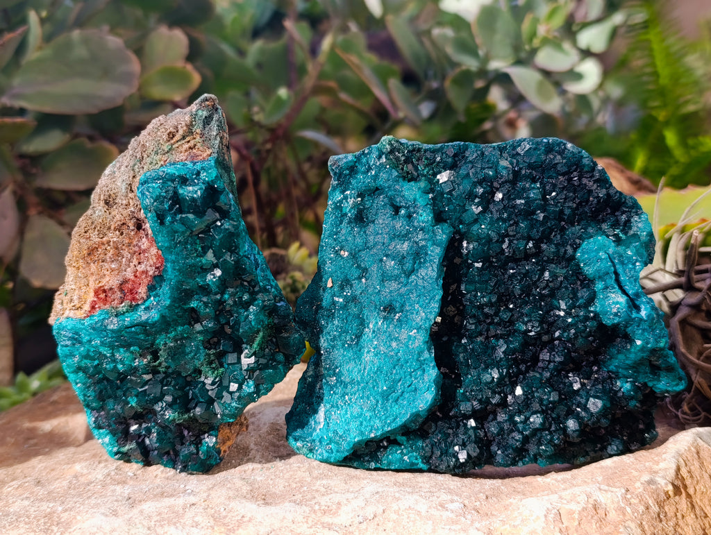 Natural Dioptase with Shattuckite On Dolomite Specimens x 3 From Likasi, Congo - Toprock Gemstones and Minerals 