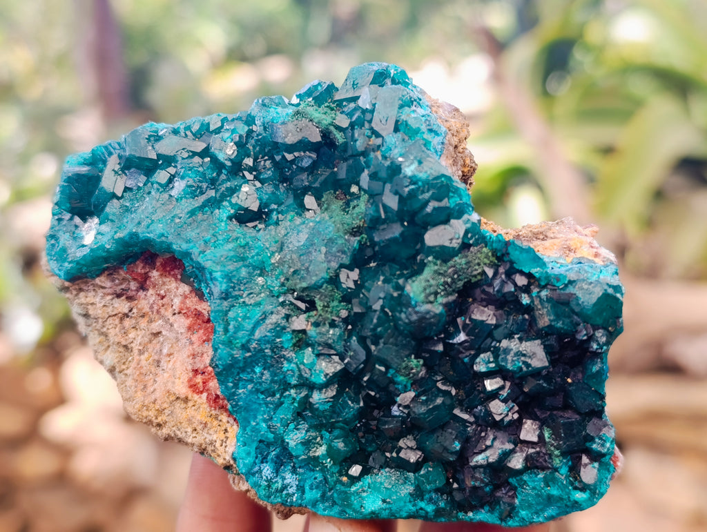 Natural Dioptase with Shattuckite On Dolomite Specimens x 3 From Likasi, Congo - Toprock Gemstones and Minerals 