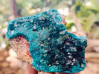 Natural Dioptase with Shattuckite On Dolomite Specimens x 3 From Likasi, Congo - Toprock Gemstones and Minerals 