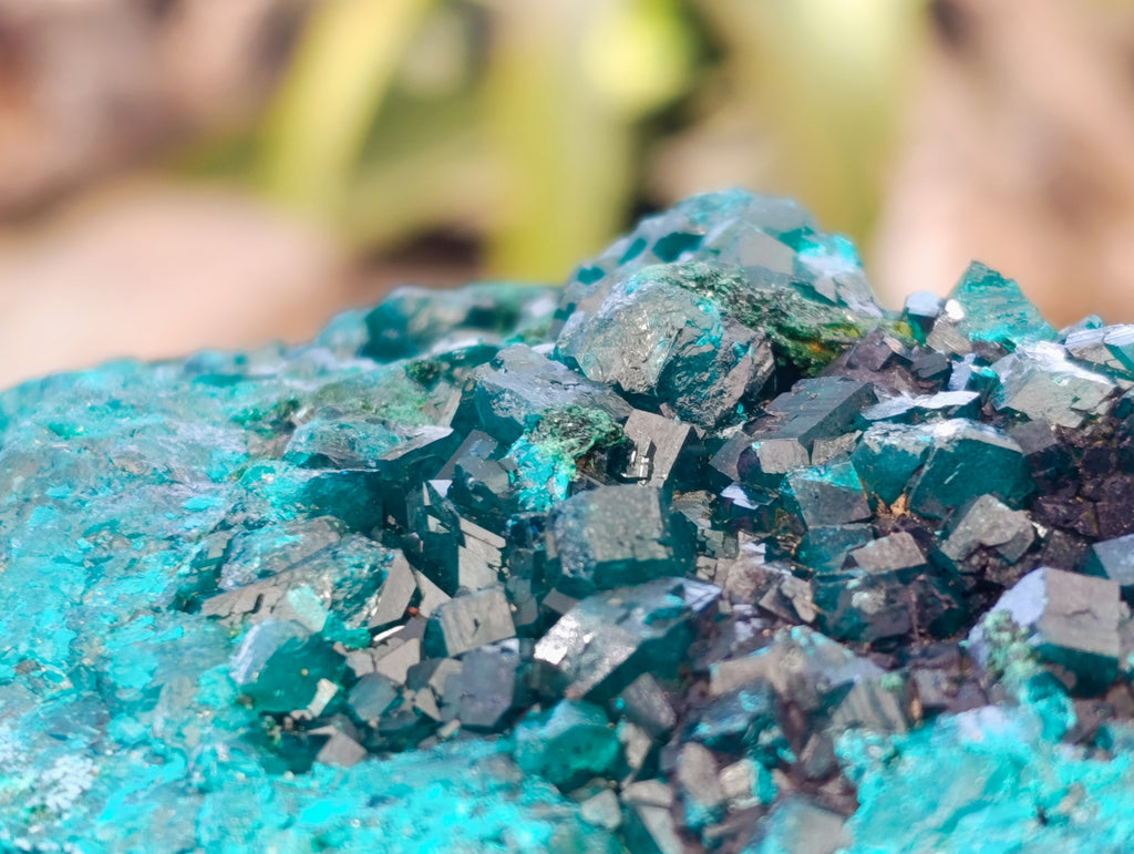 Natural Dioptase with Shattuckite On Dolomite Specimens x 3 From Likasi, Congo - Toprock Gemstones and Minerals 
