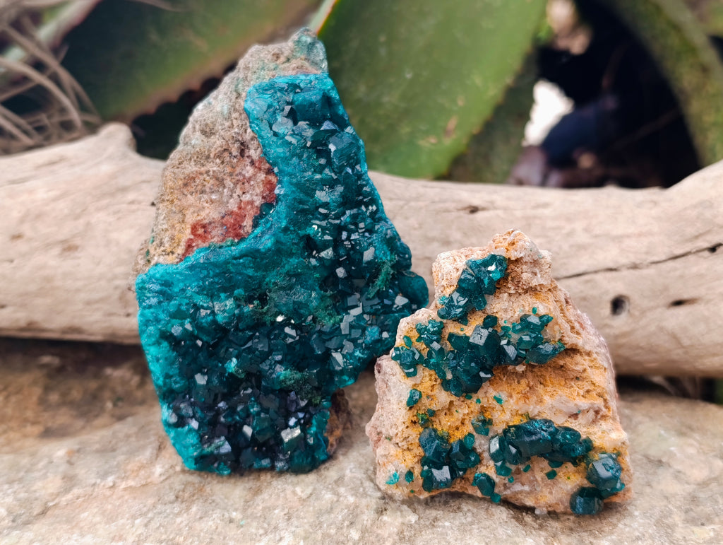 Natural Dioptase with Shattuckite On Dolomite Specimens x 3 From Likasi, Congo - Toprock Gemstones and Minerals 