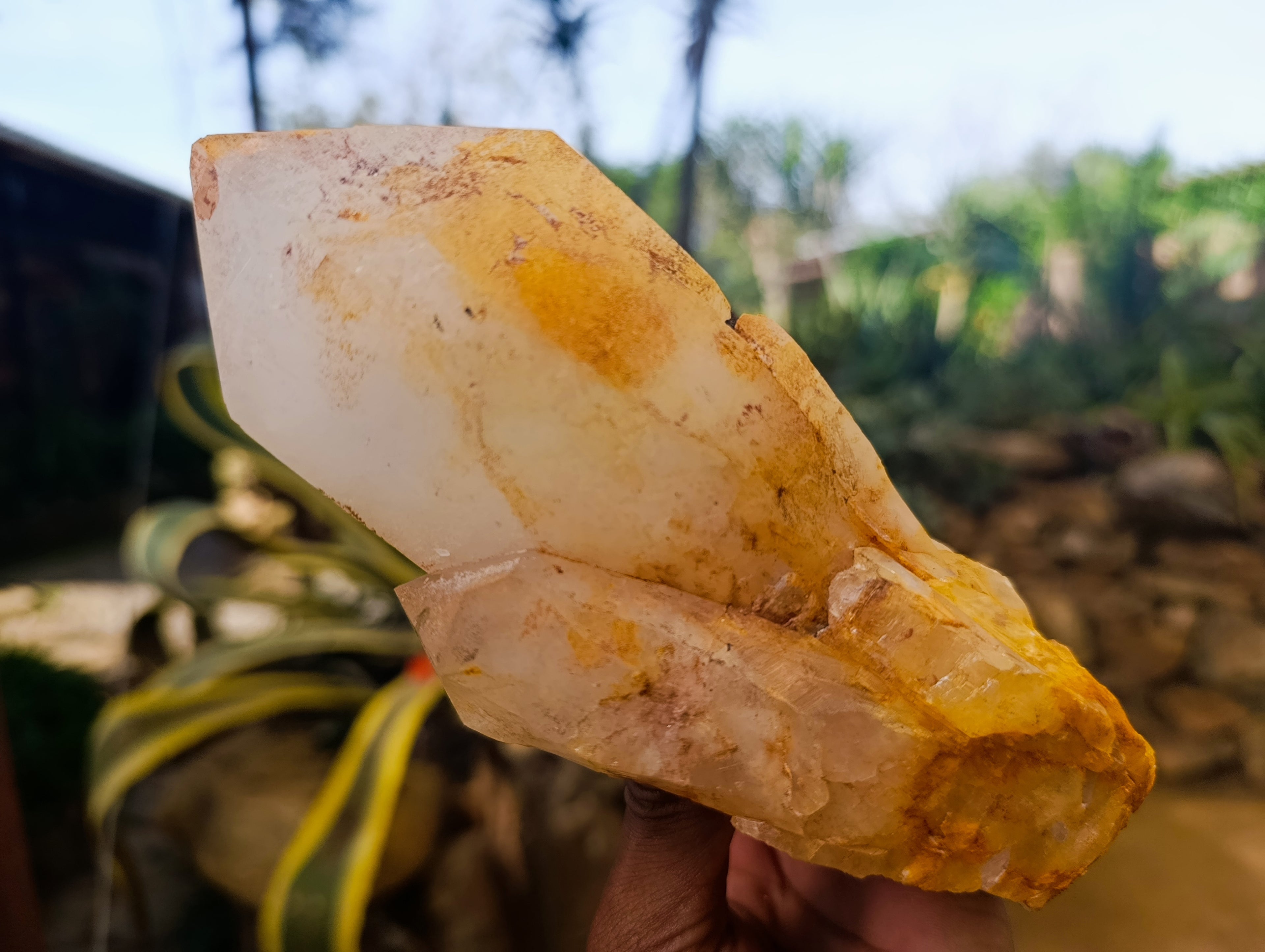 Natural Large White Quartz Clusters with Limonite Coating x 2 From Madagascar - Toprock Gemstones and Minerals 