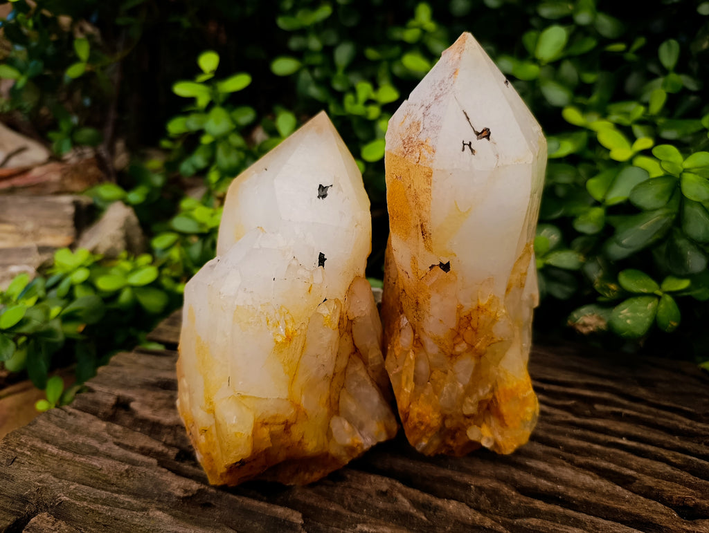 Natural Large White Quartz Clusters with Limonite Coating x 2 From Madagascar - Toprock Gemstones and Minerals 