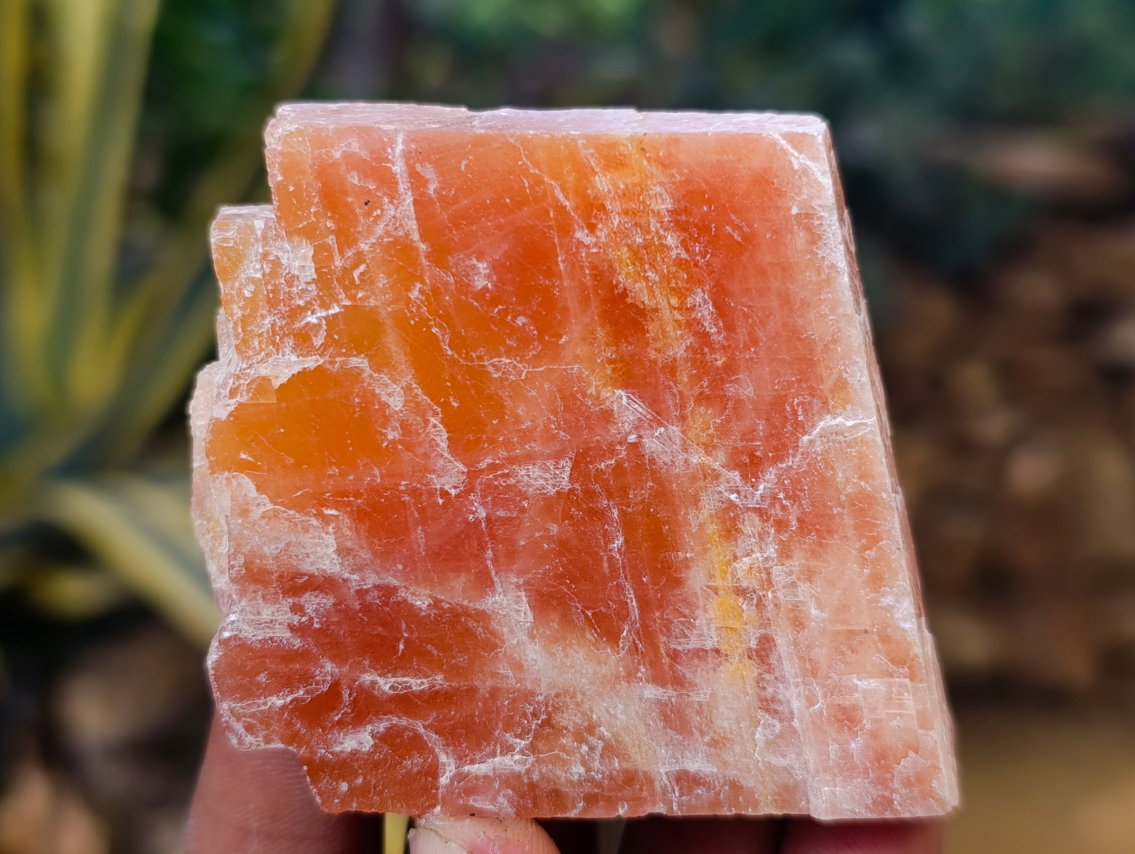 Natural Rhombohedral Sunset Orange Calcite Specimens x 12 From Spitzkop, Namibia - Toprock Gemstones and Minerals 