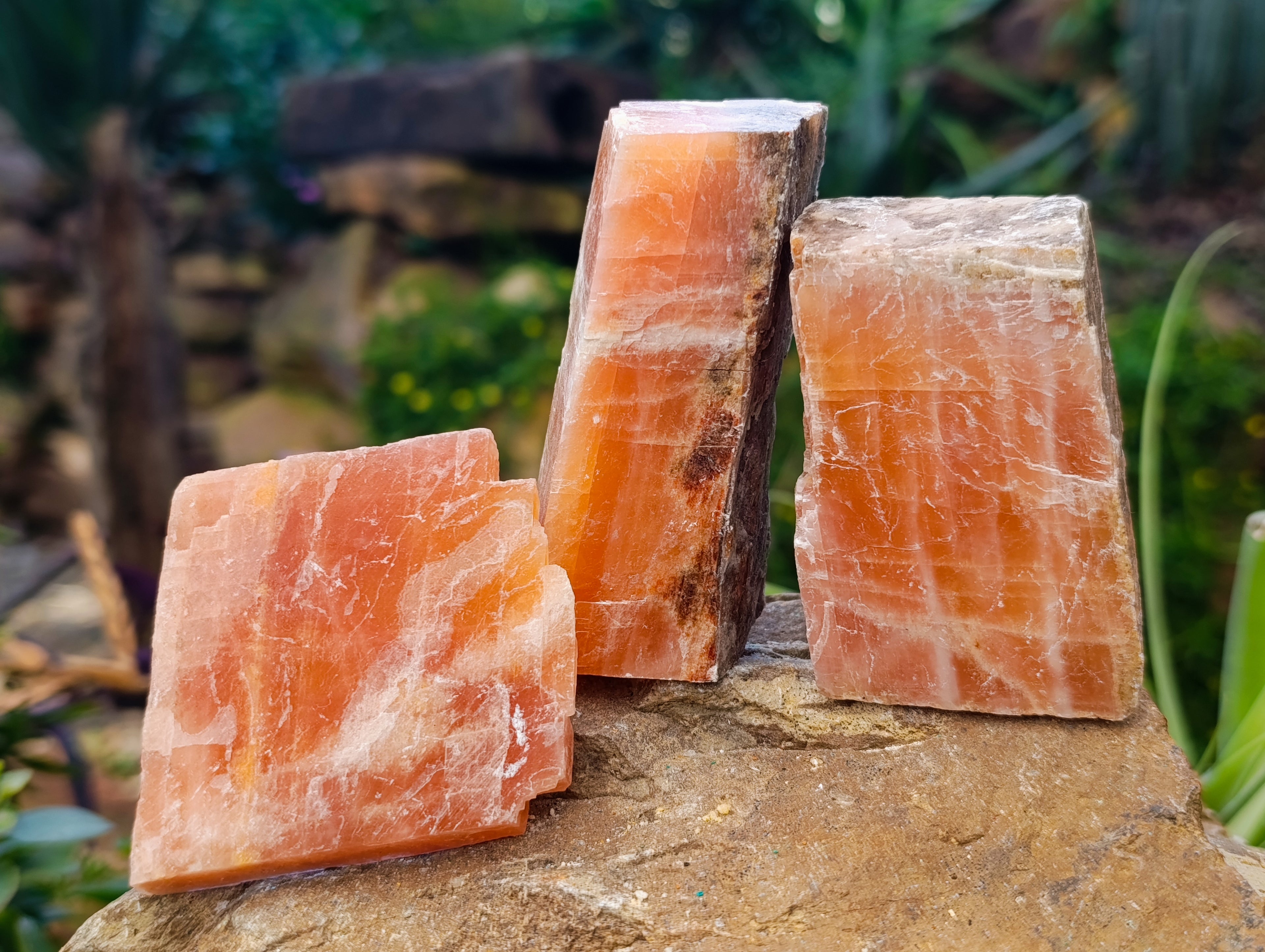Natural Rhombohedral Sunset Orange Calcite Specimens x 12 From Spitzkop, Namibia - Toprock Gemstones and Minerals 