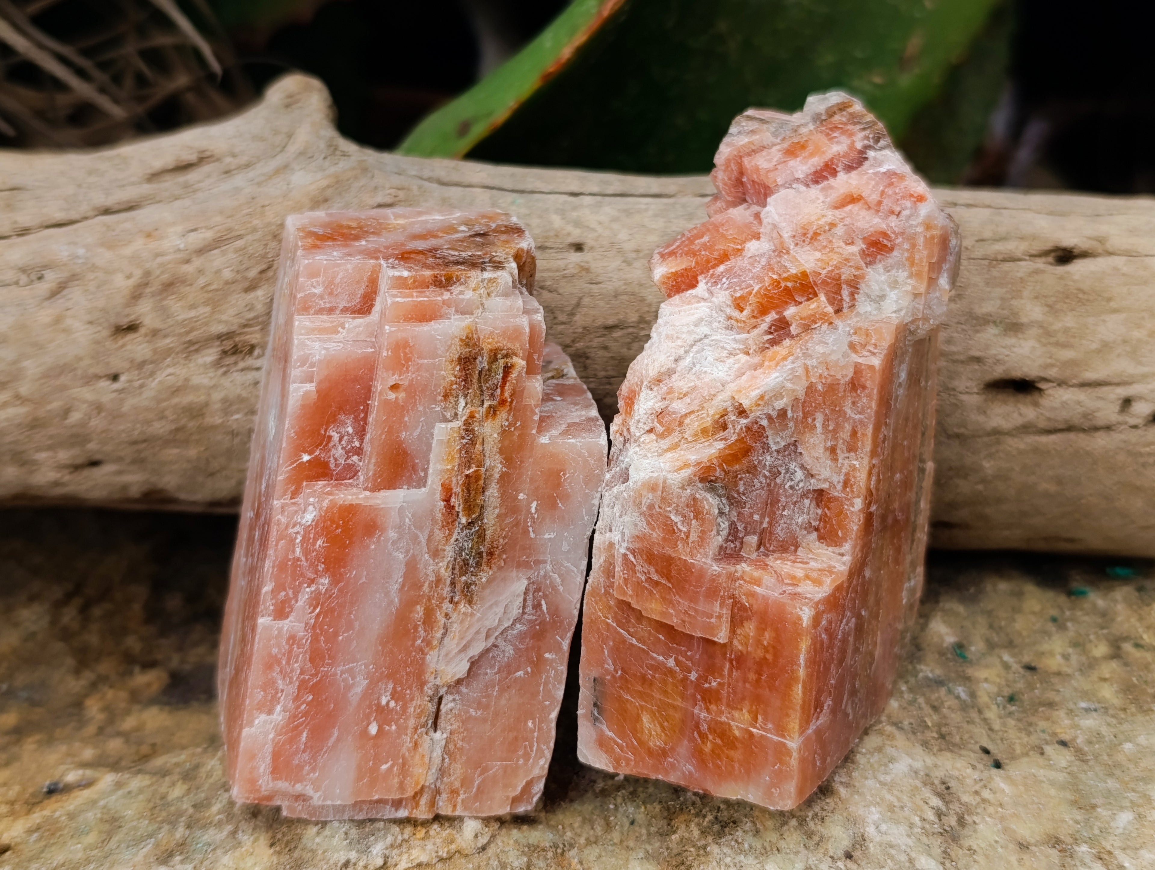 Natural Rhombohedral Sunset Orange Calcite Specimens x 12 From Spitzkop, Namibia - Toprock Gemstones and Minerals 