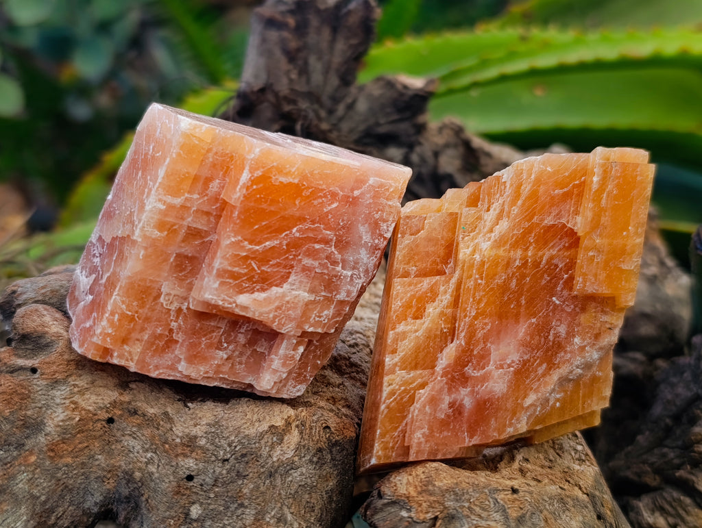 Natural Rhombohedral Sunset Orange Calcite Specimens x 12 From Spitzkop, Namibia - Toprock Gemstones and Minerals 
