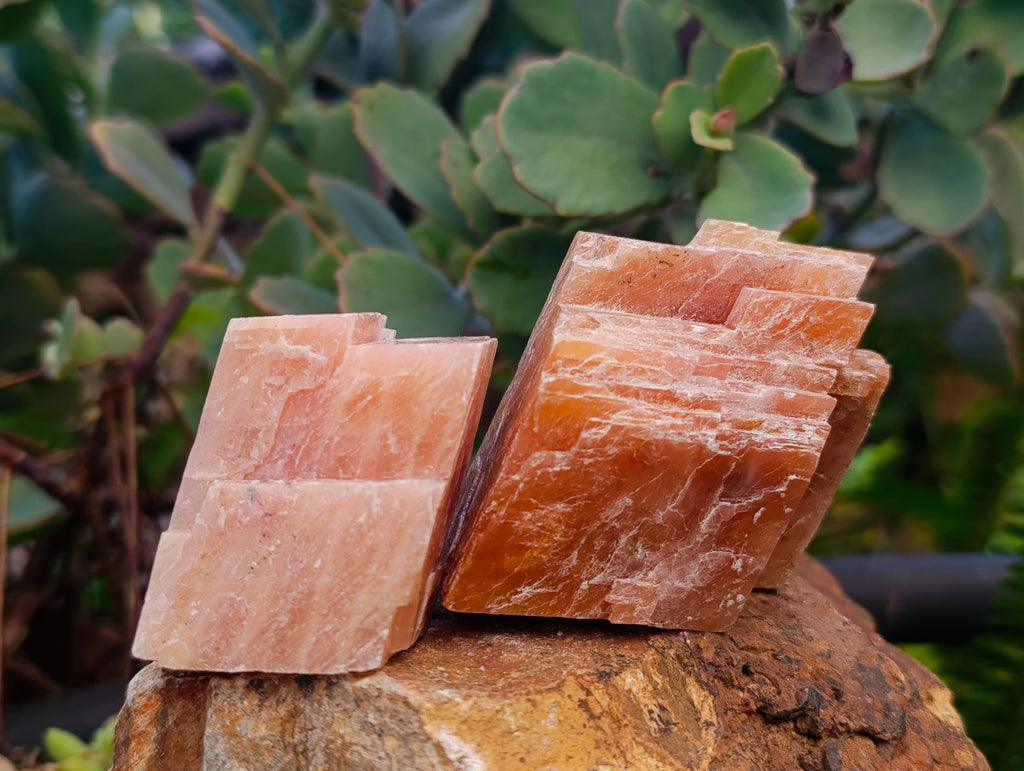 Natural Rhombohedral Sunset Orange Calcite Specimens x 12 From Spitzkop, Namibia - Toprock Gemstones and Minerals 