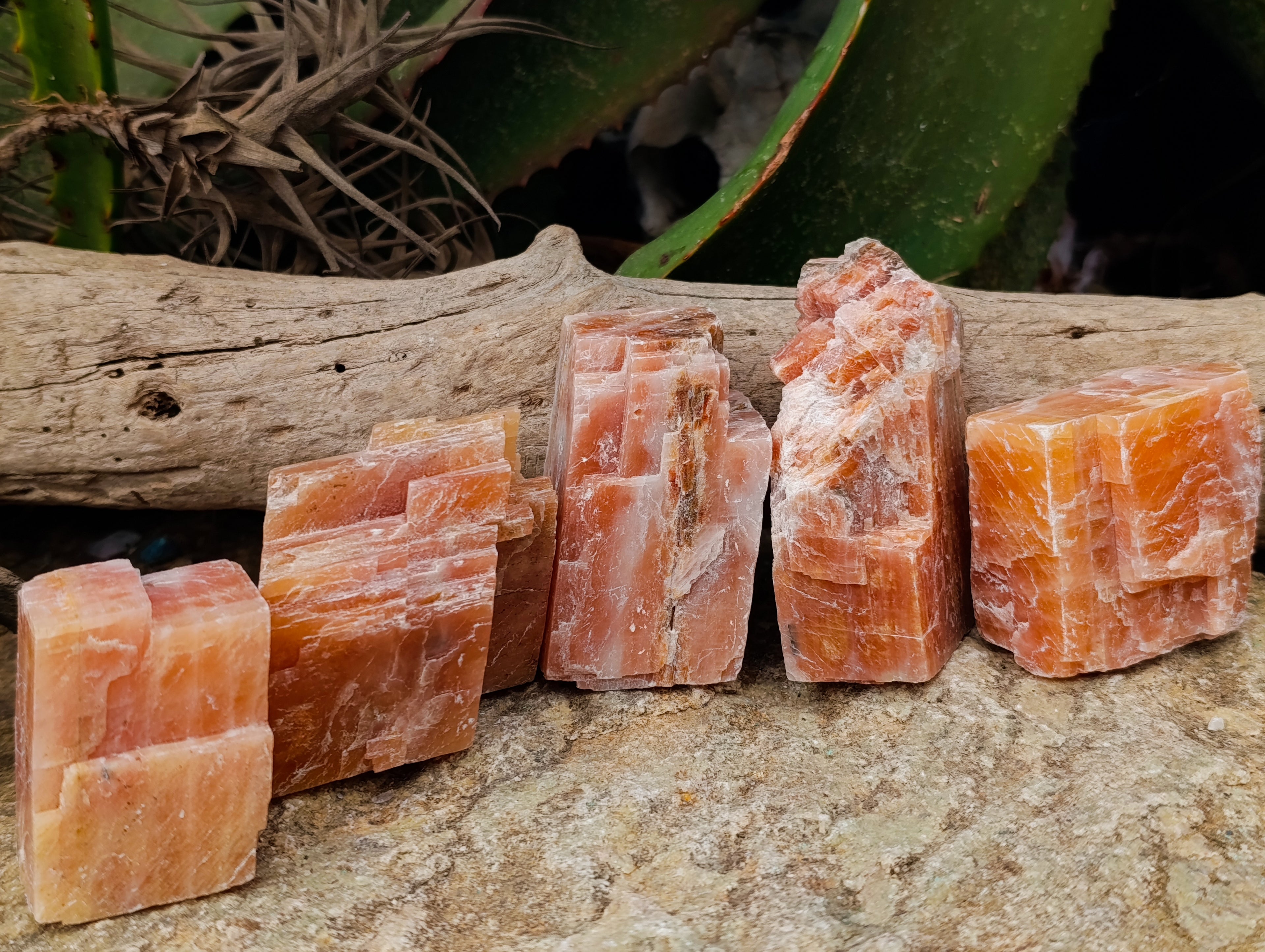 Natural Rhombohedral Sunset Orange Calcite Specimens x 12 From Spitzkop, Namibia - Toprock Gemstones and Minerals 