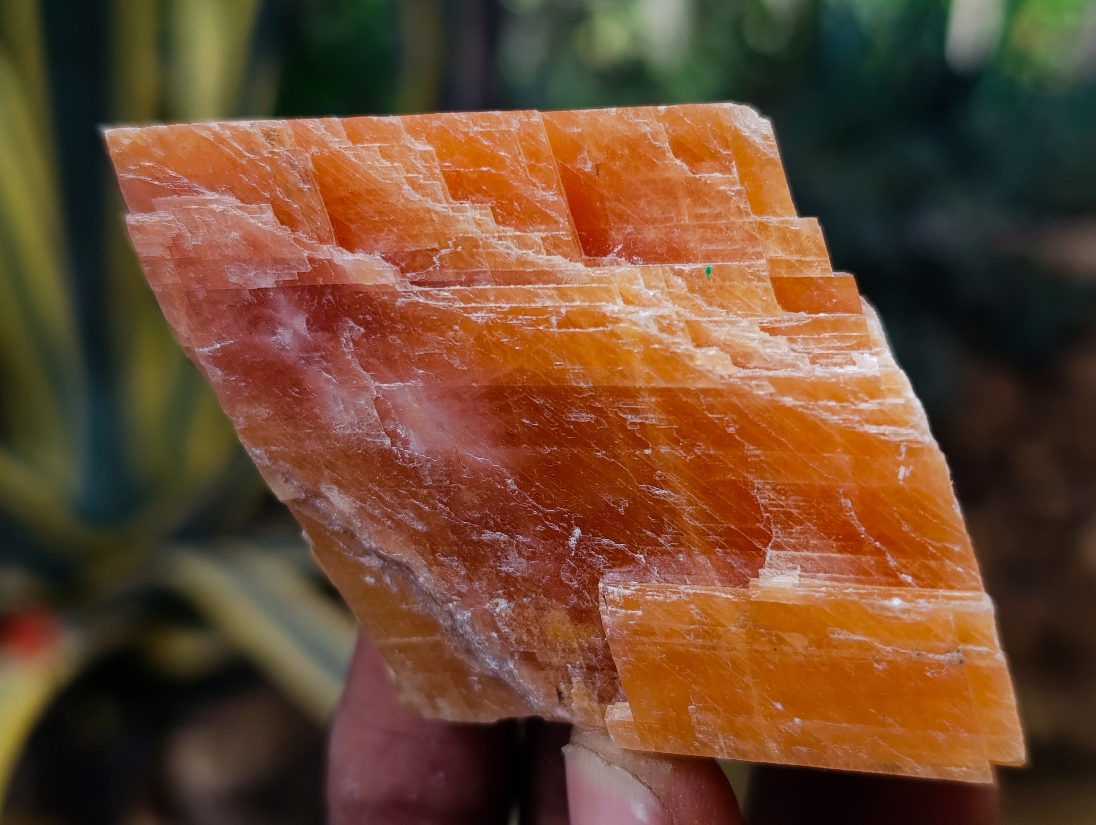 Natural Rhombohedral Sunset Orange Calcite Specimens x 12 From Spitzkop, Namibia - Toprock Gemstones and Minerals 